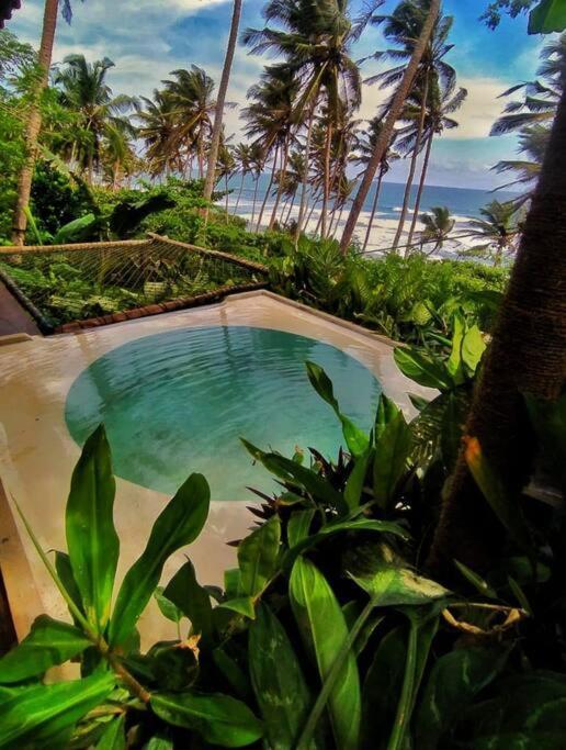 Ts2W See More Beach Treehouse Matara Exterior foto